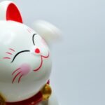 July 15-21, 2024: 5 Chinese zodiac signs likely to have good luck